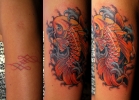    cover up,   , ,,