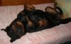   Margo1