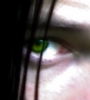   Secr.Flesh